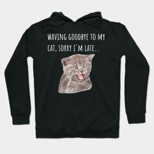 Funny Cat Indoors Hoodie